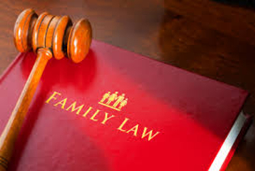 Family Legal Service Provider in Houston