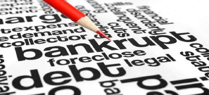 Bankruptcy Law Assistant